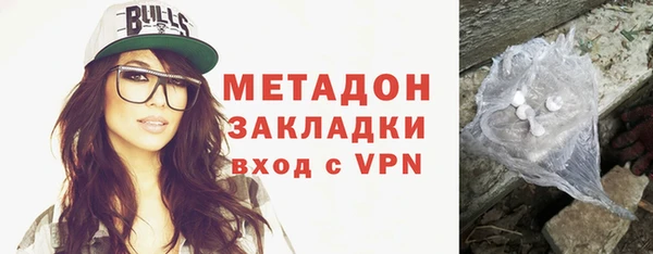 шишки Гатчина