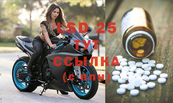 СК Кущёвская
