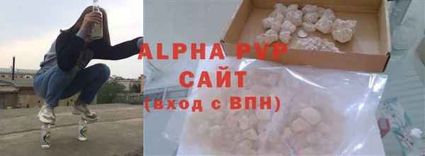 шишки Гатчина