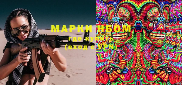 шишки Гатчина