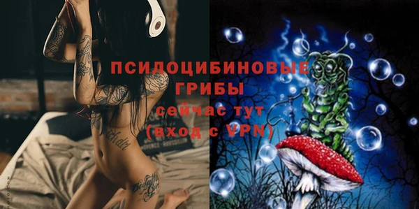 прущая мука Галич