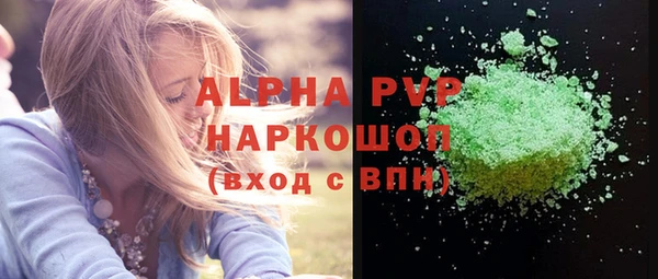 шишки Гатчина